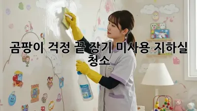 곰팡이 걱정 끝! 장기 미사용 지하실 청소