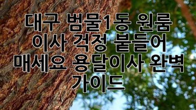 대구 범물1동 원룸 이사? 걱정 붙들어 매세요! 용달이사 완벽 가이드