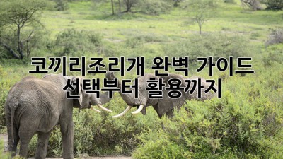 코끼리조리개🐘 완벽 가이드: 선택부터 활용까지! ✨