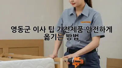 영동군 이사 팁: 가전제품 안전하게 옮기는 방법!
